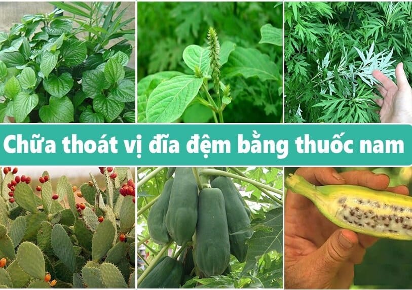 BÀI THUỐC CHỮA THOÁT VỊ ĐĨA ĐÊM