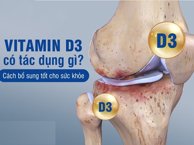 Vitamin D3 có tác dụng gì? Cách bổ sung tốt cho sức khỏe